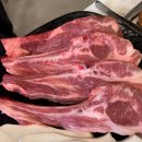 야호양꼬치