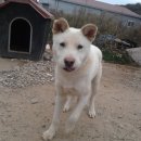 군두농장 이미지