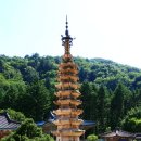 월정사 Daum카페