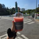 [투썸플레이스 메뉴추천] 생과일을 직접 갈아 넣은 투썸 수박주스 내돈내산 리얼후기!