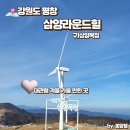 대관령 겨울 가볼 만한 곳 삼양라운드힐 [구)삼양목장]