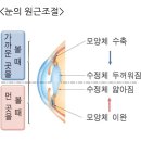 투에이치 안경 이미지