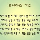 루치아 이미지