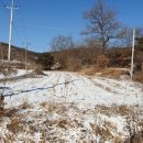 여주-1045 이미지