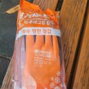 에스비 아쿠아 이미지