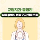 더클래식치과의원 | 서울특별시 영등포구 영등포동 교정치과 총정리