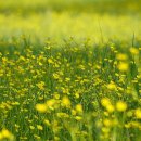 유앤장내과의원 이미지