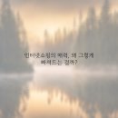 인터넷매니아 이미지