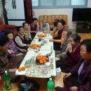 금치경로당 Daum카페