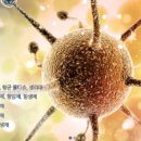 명수한의원 이미지