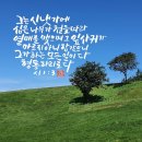 순복음목장 이미지