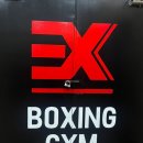 이엑스 복싱(EX BOXING) 이미지