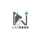 기흥동물병원 이미지