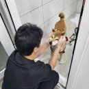 흥해동물병원 | 애견 예방접종, 쉽다고 아무 데서나 맞으면 절대 안 되는 이유