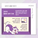 플레이 바우 이미지