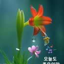 복원하는남자