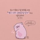 모녀낙곱새