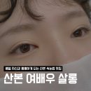 비전빌딩 | 산본 중심상가 속눈썹 연장 잘하는 곳, 유지력 대박인 여배우 살롱