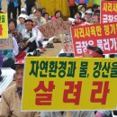 금창 이미지