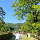 추월산이보이는집 이미지