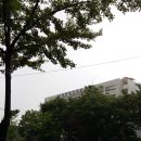 문효성 행정사 사무소 이미지