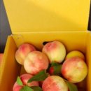 신광농장 이미지