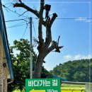 더솔펜션 이미지