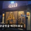 댕글멍 - 북구 서방로 32 | 댕글멍