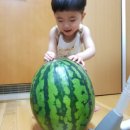 다가스모터스 | 김해까지 손세차 간 사연/다가스, 다갔다왔쓰..풉ㅋ