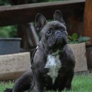 정임도서관 이미지