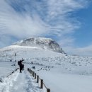 2025년 춘천거북이산악회 특별 신년산행 제주도 한라산 등반자 모집공고(1.11~12 - 1박2일) 이미지