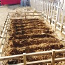 쉘부르황토펜션 이미지