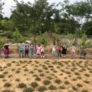 진천유치원 이미지