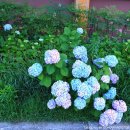 가야읍행정복지센터 이미지