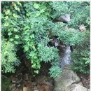 해와달펜션 이미지