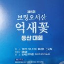 제5회 보령 오서산 억새꽃 등산대회 초대 ( Hike &amp; Fly 가능) 이미지