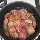 풀비치펜션 | [통영 펜션] 통영 사계절 비치 &amp; 스파 펜션 풀빌라 다녀온 후기