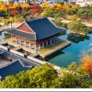 🏯 경복궁·창덕궁, 만 65세는 무료, 가을 물든 궁궐 산책 이미지