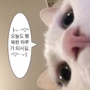 [발리여행] 발리여행 싱가포르 경유편 ✈️ - 2 (덴파사공항, 싱가포르 공항, 쥬얼창이, 싱가폴홀리데이인...