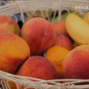 청록소규모요양시설 | 광진소규모요양시설 신뢰할 수 있는 돌봄 서비스