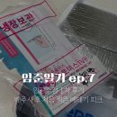 수정-90 | 임준일기 ep.7 | 인공수정 1차 시술 후기 및 총비용, 배주사 후 처음 찍은 배테기 피크