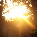 소호목장1 이미지