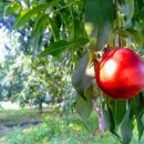 웰리치공인중개사사무소 이미지