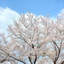 가산산성야영장 이미지