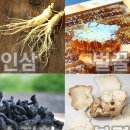 경희헬스 이미지