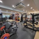 피티나인 이미지