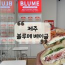 탐라도서관 (으뜸마을방면) | [제주 맛집] 색감천재 베이글 제주 빵지순례 코스! 노형 샌드위치 맛집 "블루메 베이글"