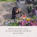 창정리 이미지