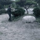 바다공원(소) 네이버블로그