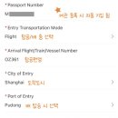 pc bin | 중국 여행 상하이 입국신고서 작성 방법 입국심사 준비물